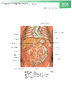 Sobotta  Atlas of Human Anatomy  Trunk, Viscera,Lower Limb Volume2 2006, page 262